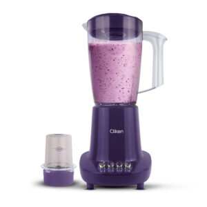 2 IN 1 BLENDER 600 WATTS