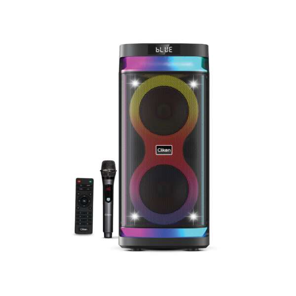 RECHARGABLE PARTY BOX + MIC