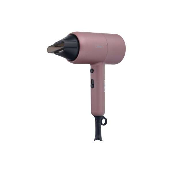 PROFESSIONAL HAIR DRYER